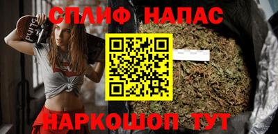 прущие грибы Новокубанск