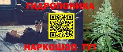 прущие грибы Новокубанск